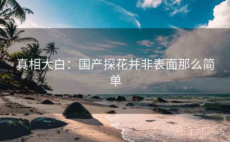 真相大白：国产抖阴并非表面那么简单